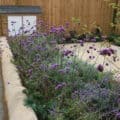 Front garden planting scheme, Milcombe Front garden planting scheme, Milcombe