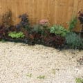 Front garden planting scheme, Milcombe Front garden planting scheme, Milcombe