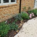Front garden planting scheme, Milcombe Front garden planting scheme, Milcombe