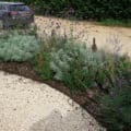 Front garden planting scheme, Milcombe Front garden planting scheme, Milcombe