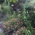Hook Norton Garden Design & Build Revisited Hook Norton Garden Design & Build Revisited