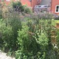 Hook Norton Garden Design & Build Revisited Hook Norton Garden Design & Build Revisited