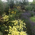 Hook Norton Garden Design & Build Revisited Hook Norton Garden Design & Build Revisited