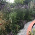 Hook Norton Garden Design & Build Revisited