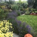 Hook Norton Garden Design & Build Revisited Hook Norton Garden Design & Build Revisited