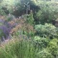 Hook Norton Garden Design & Build Revisited Hook Norton Garden Design & Build Revisited