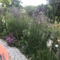 Hook Norton Garden Design & Build Revisited Hook Norton Garden Design & Build Revisited