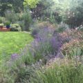 Hook Norton Garden Design & Build Revisited Hook Norton Garden Design & Build Revisited