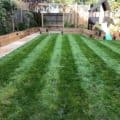 North garden makeover, Banbury